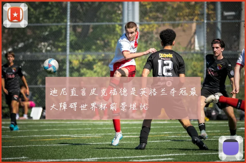 迪尼直言皮克福德是英格兰夺冠最大障碍世界杯前景堪忧