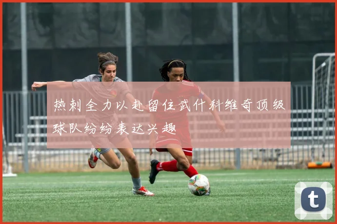 热刺全力以赴留住武什科维奇顶级球队纷纷表达兴趣